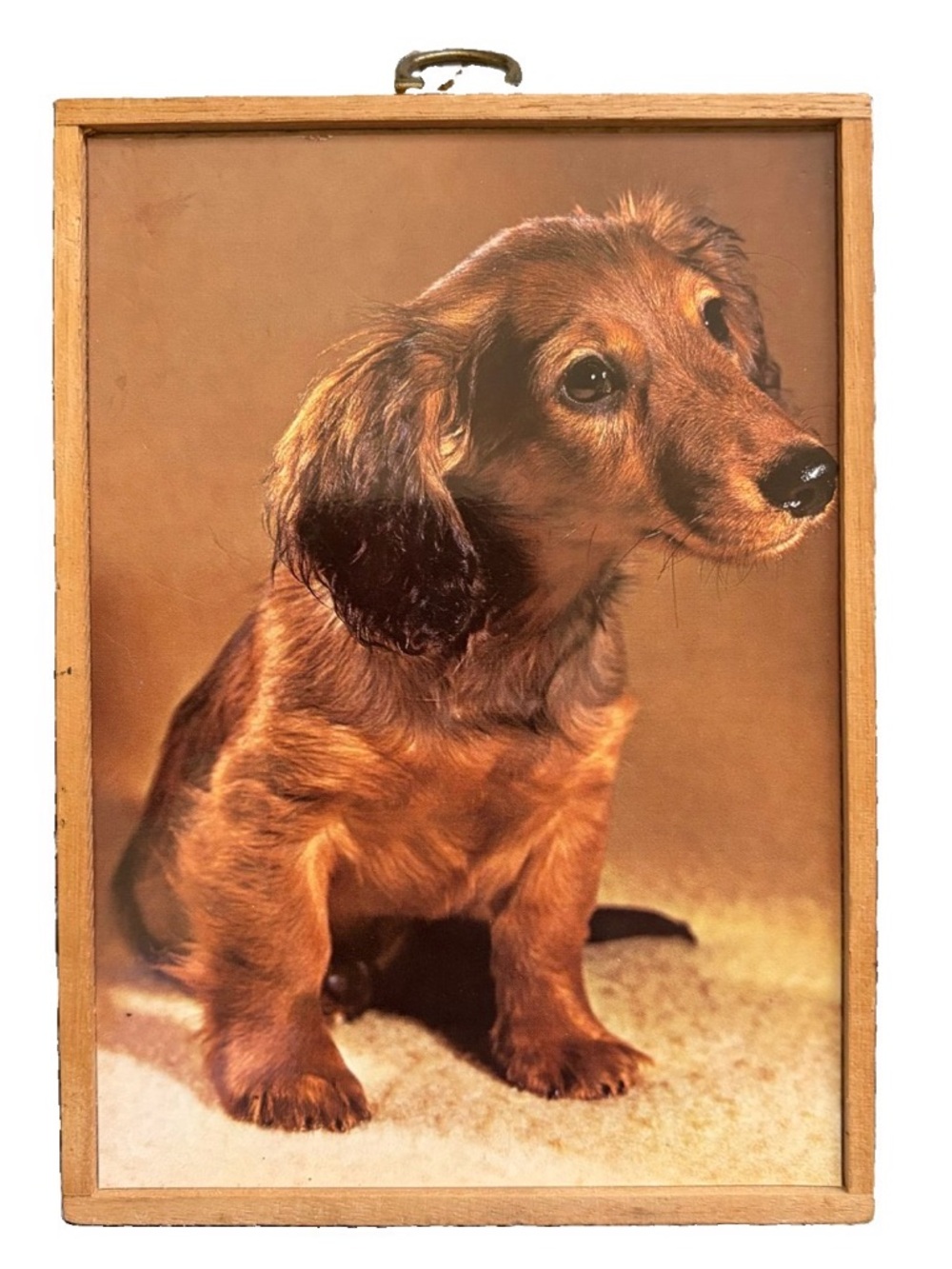 Dachshund Puppy Miniature Art Print Vintage 70s Wood Frame Gallery Wall Dog Gift